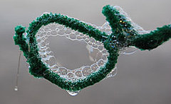 Pipecleaners for Bubbles Pipecleaners for Bubbles