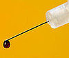Blood Type