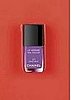 Chanel North Robertson Store Nail Lacquer Collection
