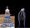 Joesph Font Haute Couture