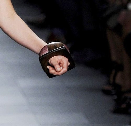 The Bangled Arm The Bangled Arm
