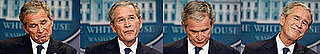 Shrinking W: Is He a Puppet, Fool, or Sadist?