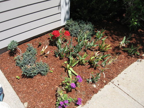 Garden 6/2