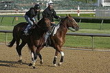 Horses or Horse Power: Which May racing event do you prefer?