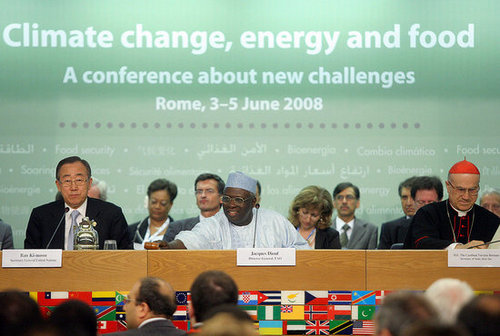 UN Leader: World Needs 50 Percent More Food