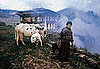 Computer Games a Threat to Bhutan's New Democracy? 