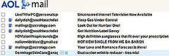 Inbox Law and Order: Spam AOL, Get 30 Months In Prison