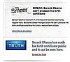 Obama Fights the Smears One Google at a Time 