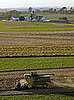 Agency Asleep at Tractor Wheel? Rich Collect Farm Subsidies 