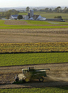 Agency Asleep at Tractor Wheel? Rich Collect Farm Subsidies 