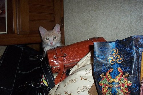 OK, This isn't exactly "IN" my handbag.......LOL......