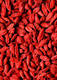 Definition of Goji Berry