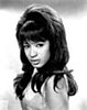 Ronnie Spector, Beauty Icon