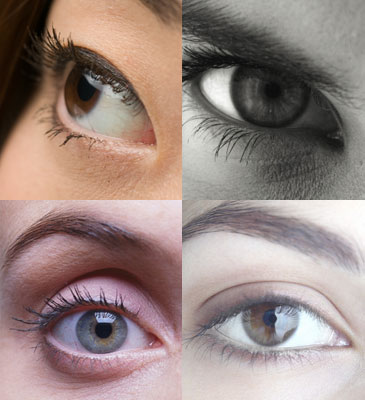 How to Apply Eye Makeup Easily
