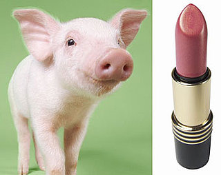 Definition of Putting Lipstick on a Pig