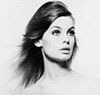 Bella Donna: Jean Shrimpton 