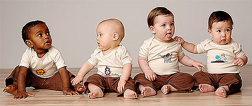 Eco Tot:  Eight3One