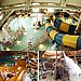 Great Wolf Lodge