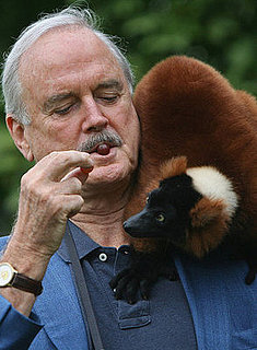 Creature Feature: Lemurs 