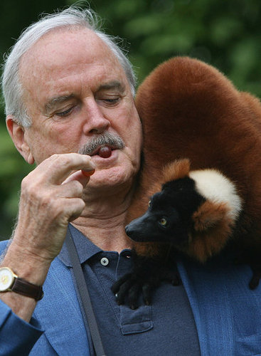 Creature Feature: Lemurs 