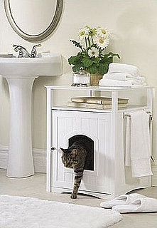 How Often Do You Clean the Litter Box?