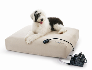 Win a Sleep Number Pet Bed!