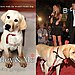 Marley and Me 