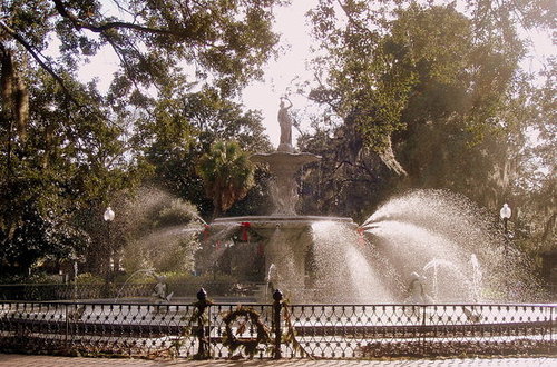 Savannah