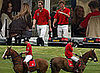 Prince William, Prince Harry, Chelsy Davy And Kate Middleton Attend A Polo Match At Ascot