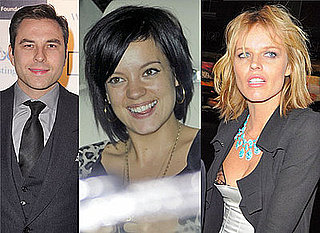 Photos Of LIly Allen, Eva Herzigova and David Walliams At Grey Goos Party In London