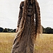 W November 2004