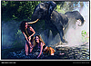 Bugs, Elephants, and Models Unite in Botswana for Pirelli 2009