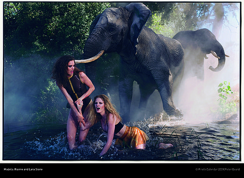 Bugs, Elephants, and Models Unite in Botswana for Pirelli 2009