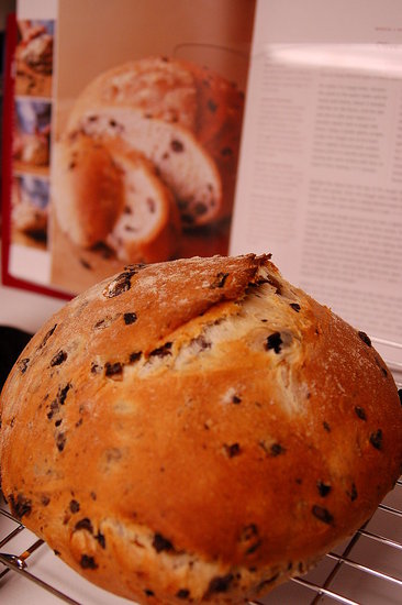Olive Bread. This was a fantastic recipe and I'll definitely make it again. Recipe from: Williams-Sonoma Essentials of Baking