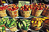 Database of Farmers Markets Nationwide