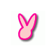 thebeautybunny