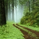 Trailtrodder