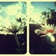 emmaxx vintage