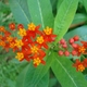 yogadarla