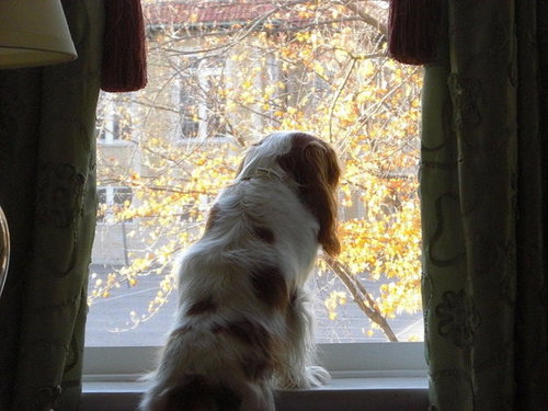 TK looks out the window