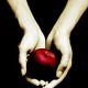 heart3000