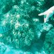 oceanmom62 oceanmom62