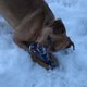cdmeggers cdmeggers