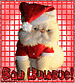 Video* Why Santa Didnt Answer Your Letter….*funny*....Oh, & Merry Xmas from PinkNC