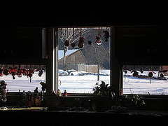 Are Your Holiday Decorations Still Up?