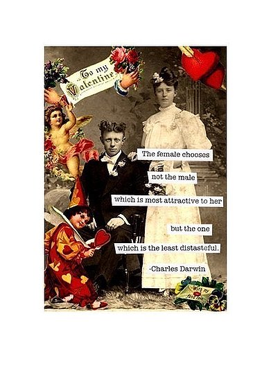 The Card Shop: Cheeky Valentine's Day Cards The Card Shop: Cheeky Valentine's Day Cards