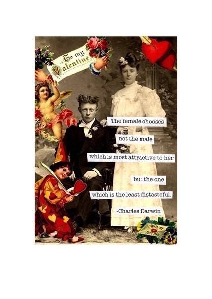 The Card Shop: Cheeky Valentine's Day Cards The Card Shop: Cheeky Valentine's Day Cards
