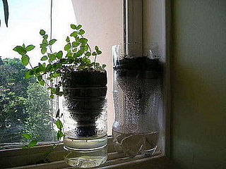 DIY: Self-Watering Recycled Vase