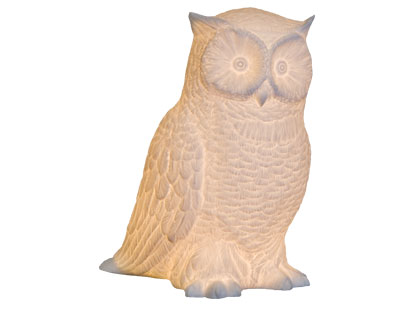 Love  It or Hate It? Owl Lamp