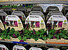 Cool Idea:  Potless Plants